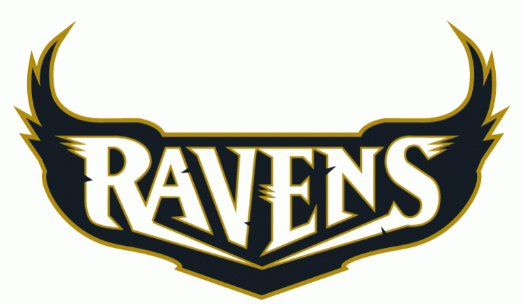Baltimore Ravens 1996-1998 Wordmark Logo iron on transfers for T-shirts version 3